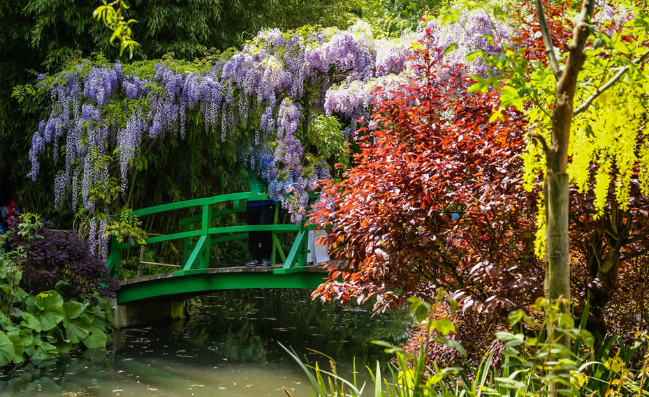 Famous Gardens of France: From Paris to Versailles to Monet’s Giverny